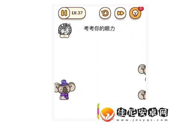 烧脑大师