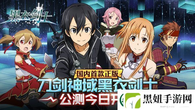刀剑神域黑衣剑士停服原因