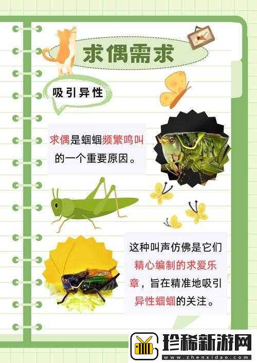 幼童雏鸟导入口