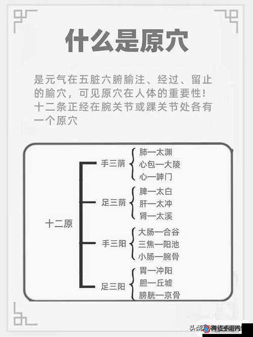 阿姨大妈按摩的项目是些啥:详细内容全揭秘