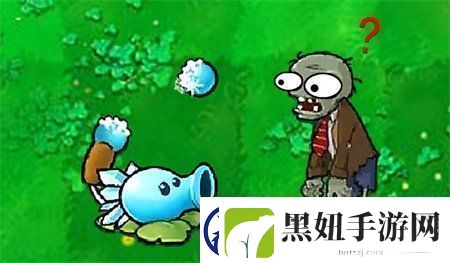 植物大战僵尸杂交版2.2版本什么时候上线