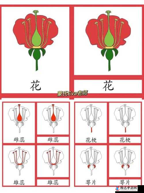 班级的公共教具诗施花之重要性及其在教学中的独特作用