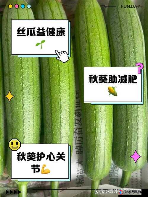 丝瓜秋葵草莓绿巨人:一场奇妙食材的缤纷盛宴