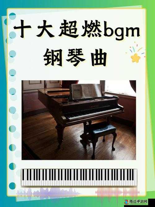 bgmbgmbgm 毛多多:带你走进独特的音乐世界之旅