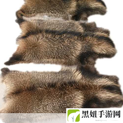 AAAA级毛皮最火的一句透露了中文社区开放信息,AAAA级毛皮揭秘:中文社区新趋势与开放信息的未来