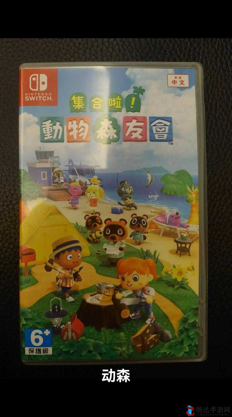 动物森友会护照制作全攻略,NS动物之森护照的详细制作方法