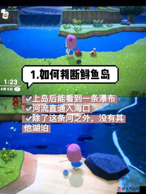 集合啦动物森友会鲟鱼怎么钓,NS动物之森鲟鱼钓法技巧详解
