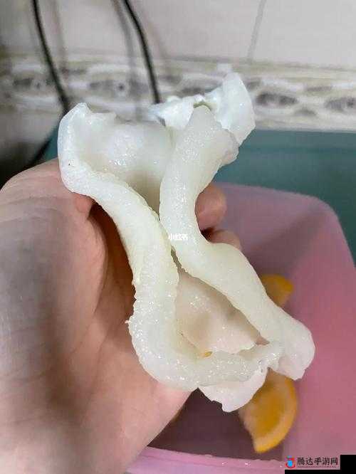 人马胶配方视频高清版:详细步骤与独特制作技巧展示