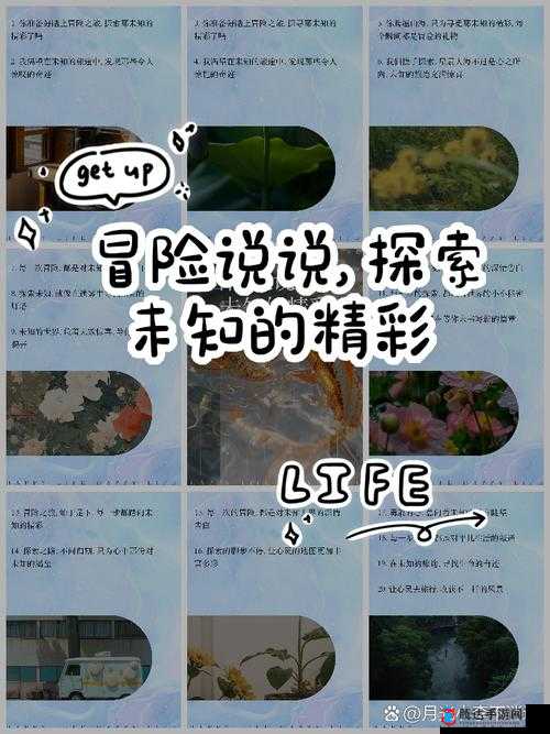 玛丽兄弟的奇妙冒险之旅:探索未知世界的精彩篇章