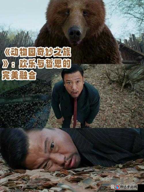 美国 ZOOM 动物的奇妙之旅:探索神秘动物世界