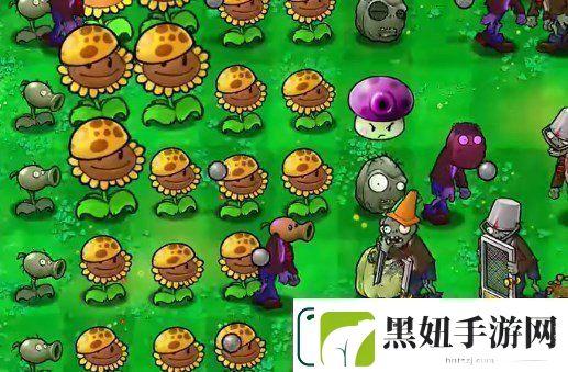 植物大战僵尸杂交版挑战第40关如何闯关植物大战僵尸杂交版挑战模式第40关通关攻略