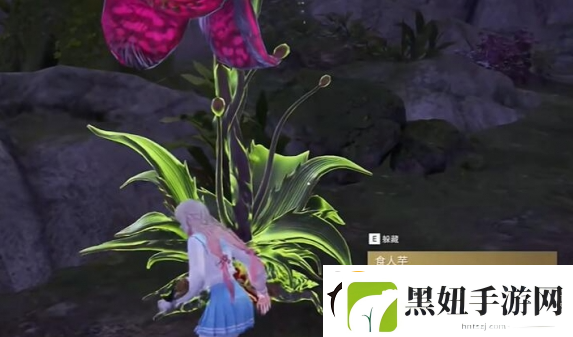 永劫无间龙隐洞天食人芋位置分享