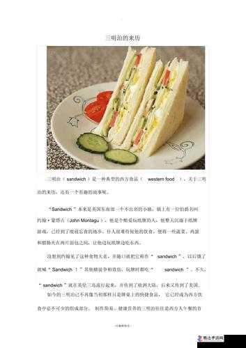 1v3 兄弟三明治的独特魅力与精彩故事