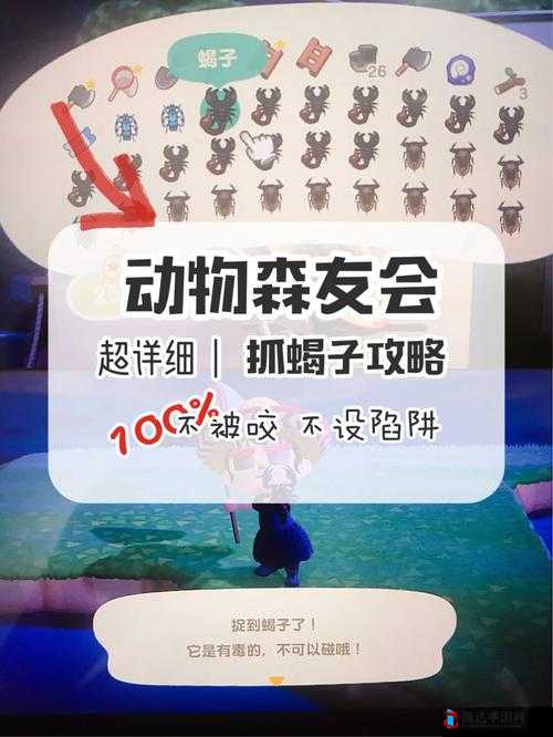 动物森友会陷阱制作秘籍,打造你的趣味防御工事