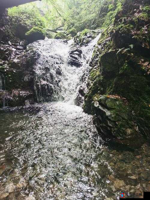 黄龙直捣溪水潺潺:探秘大自然中的壮美水势奇观