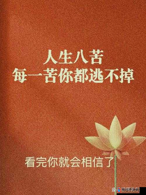 47147 人但他们的梦想与追求从未停止