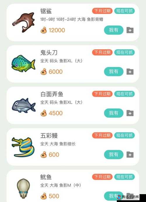 动物森友会南北半球怎么选？半球选择心得分享