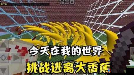 大香蕉香蕉网:探索精彩网络世界的奇妙之旅
