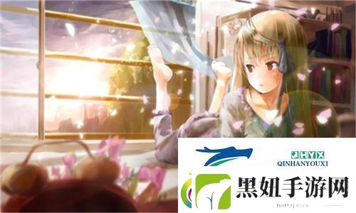 中国windows野外mgdrcc的深入解析