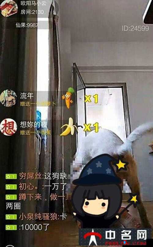 **直播:畅享精彩互动直播盛宴