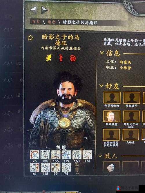骑马与砍杀2画质差怎么办?提高骑砍2画面最佳方法