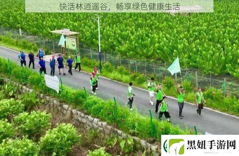 快活林逍遥谷