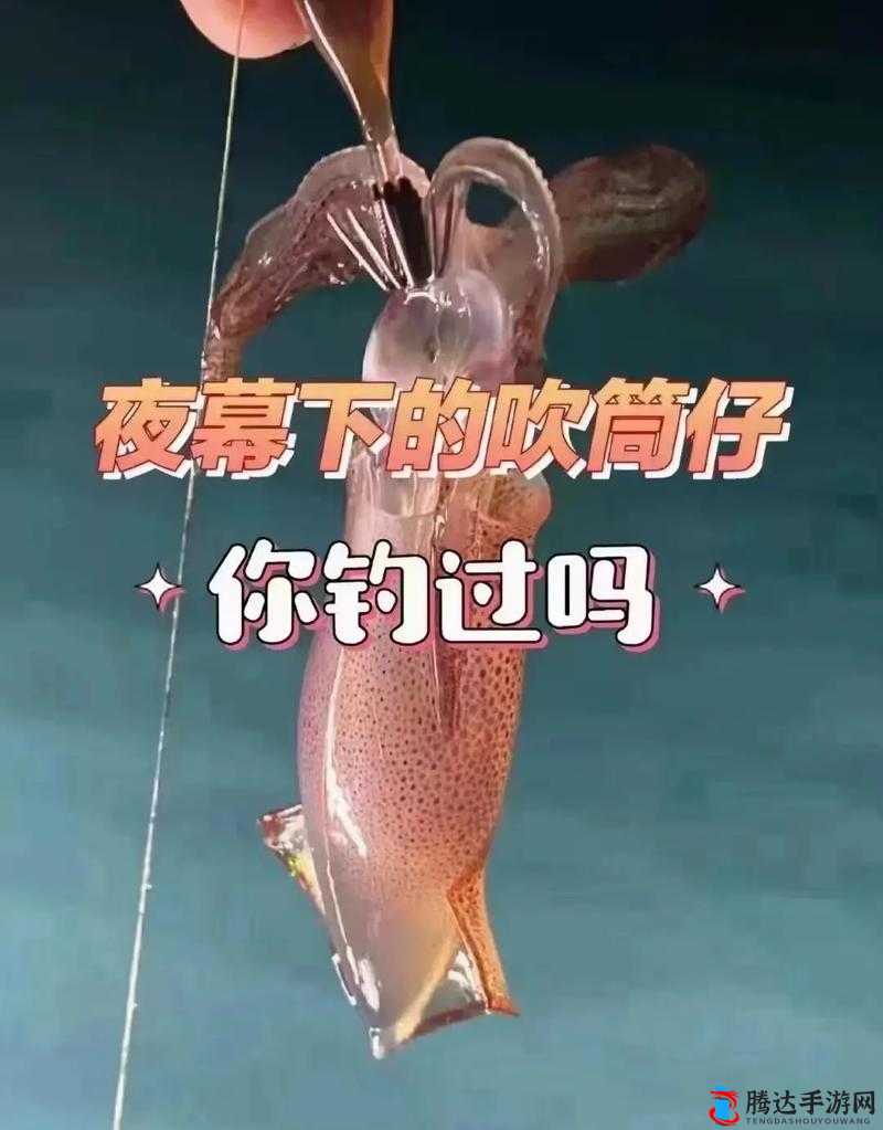 鱿鱼官网 by1381 精彩内容等你来探索