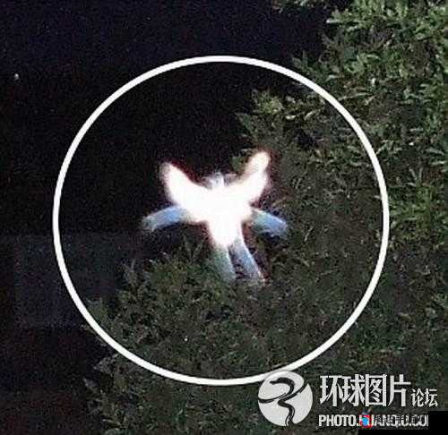 令人震惊的 9 分 42 秒头撞玻璃视频全过程