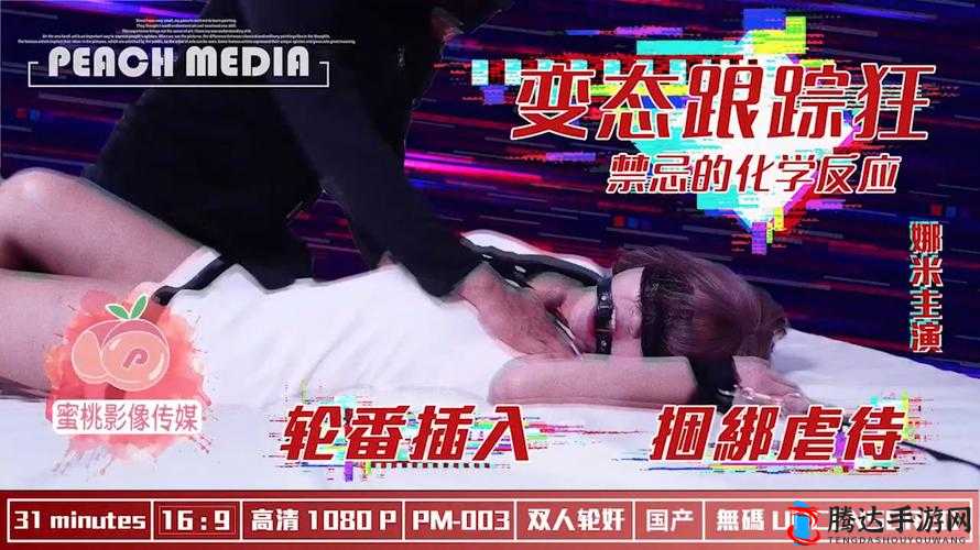 蜜桃传媒文化有限公司免费版:畅享精彩影视资源无束缚