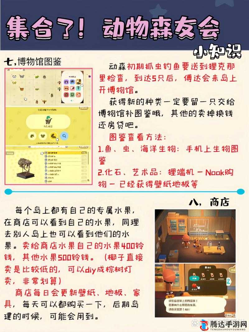 动物森友会怎么换号,详细方法说明