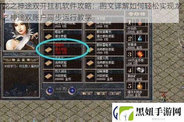 龙之神途双开挂机软件攻略