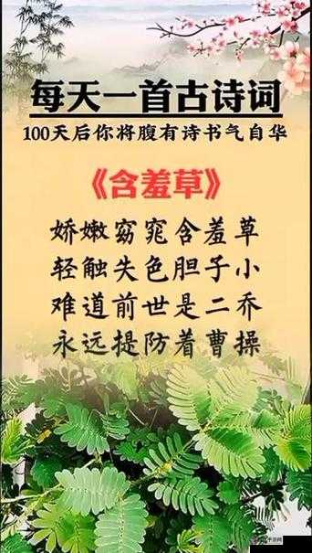 含羞草的茎:早轻晚重,奥妙何在?