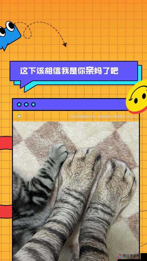 你快点下来:我是你亲妈