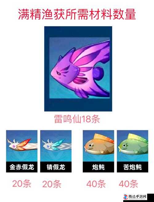 雷鸣仙究竟多久刷新一次详细解析