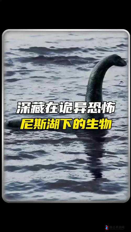 无法合拢的皇帝:历史中的奇特存在之谜
