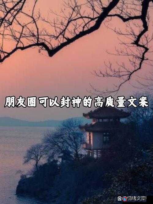 可不可以干湿你最火:探寻其中蕴含的独特魅力与深意