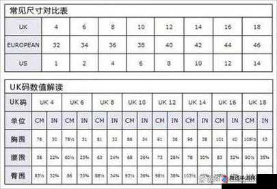 探秘欧洲尺码与日本尺码专线:深入了解独特尺码差异