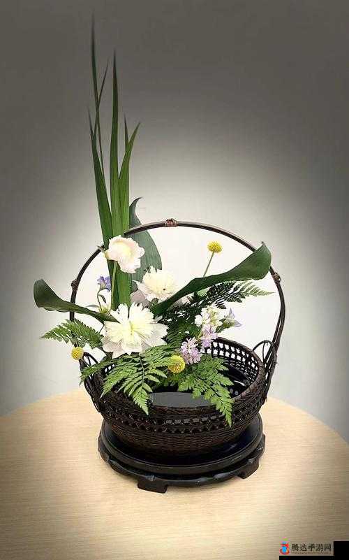 两阳插花新——探索独特的艺术之美与文化内涵