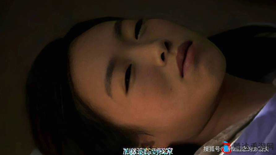 日本****在线观看:探索独特视觉盛宴