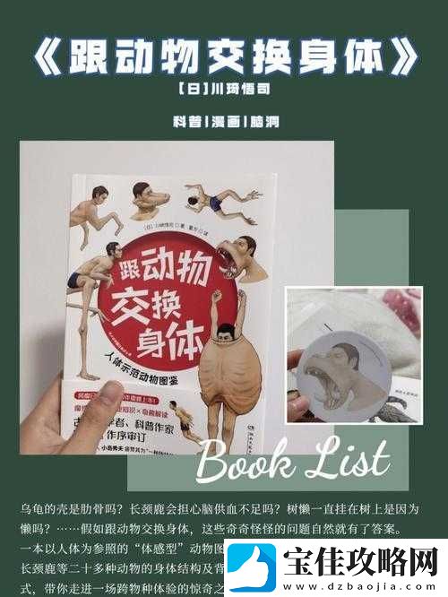 人物与动物交互