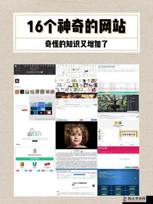 无需下载直接进入的网站:带给你便捷的全新体验