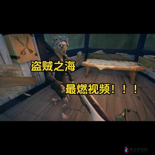 盗贼之海,揭秘水蛭的奇妙用法