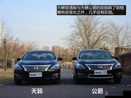 日产 1 区至六区:关于其特点功能及重要意义的全面解析