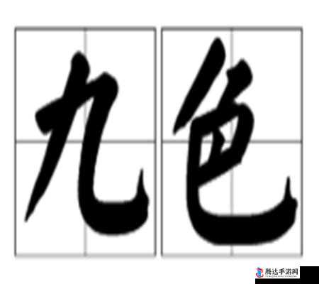 91 九色 **** 带来的别样视觉冲击与体验
