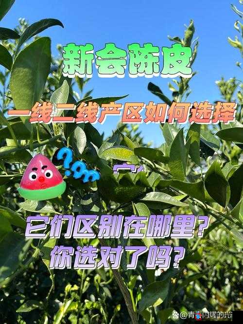 一线产区和二线产区的知名品牌是将试运营不打烊这一情况值得关注