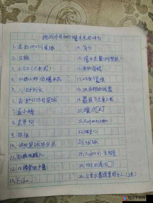 在这个充满未知和挑战的世界里，让我们一起探索 4hu 最新地域网名 204 的神秘面纱