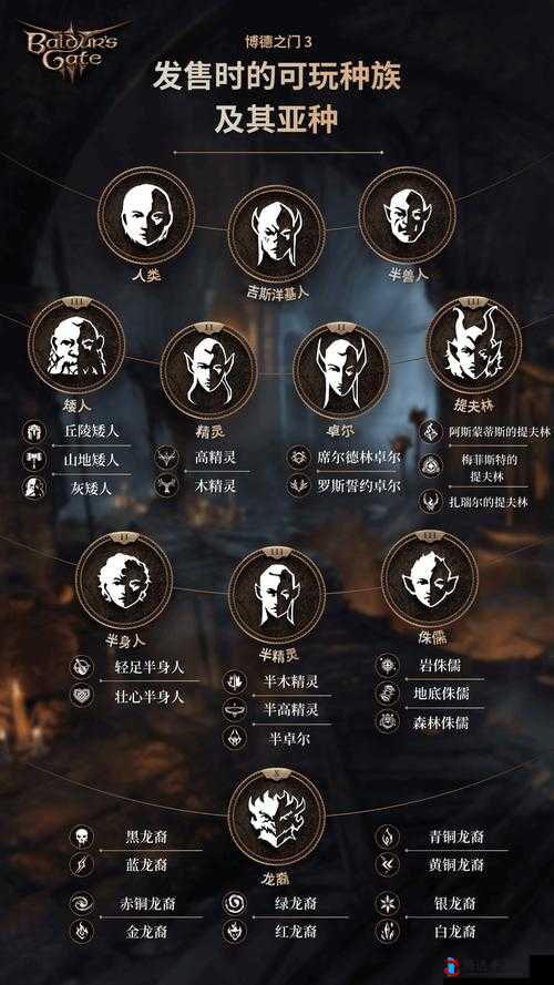博德之门3物品怎么分割,物品分割方法介绍