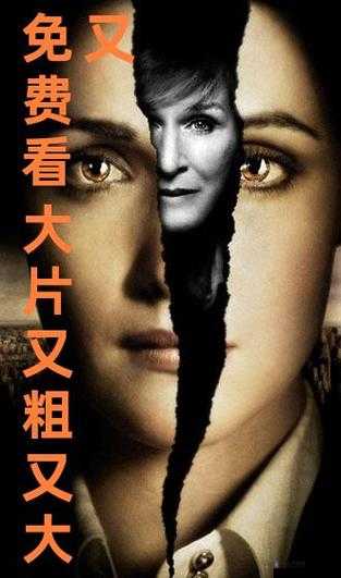 电影：Gay 巴西：gy 又粗又大