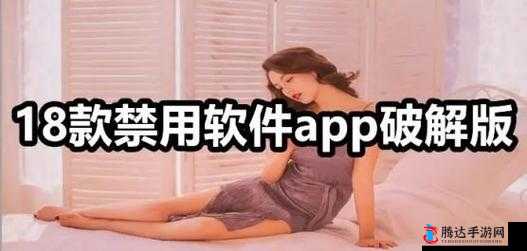 夜里 100 种禁用软件大全:深入了解这些被禁的软件世界
