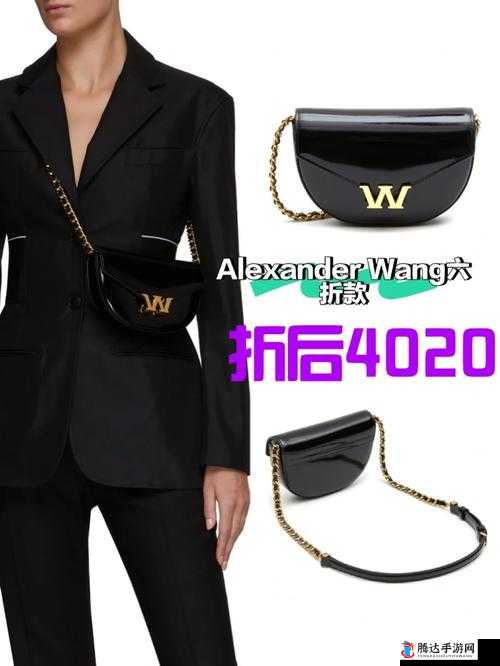 ALEXANDERWANG 妈妈评测:对其进行全面深入分析与探讨